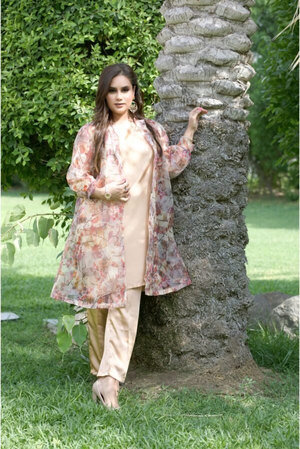 Organza | Printed Gown with Inner Silk | 3 Piece | Skin